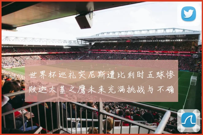 世界杯巡礼突尼斯遭比利时五球惨败迦太基之鹰未来充满挑战与不确定性